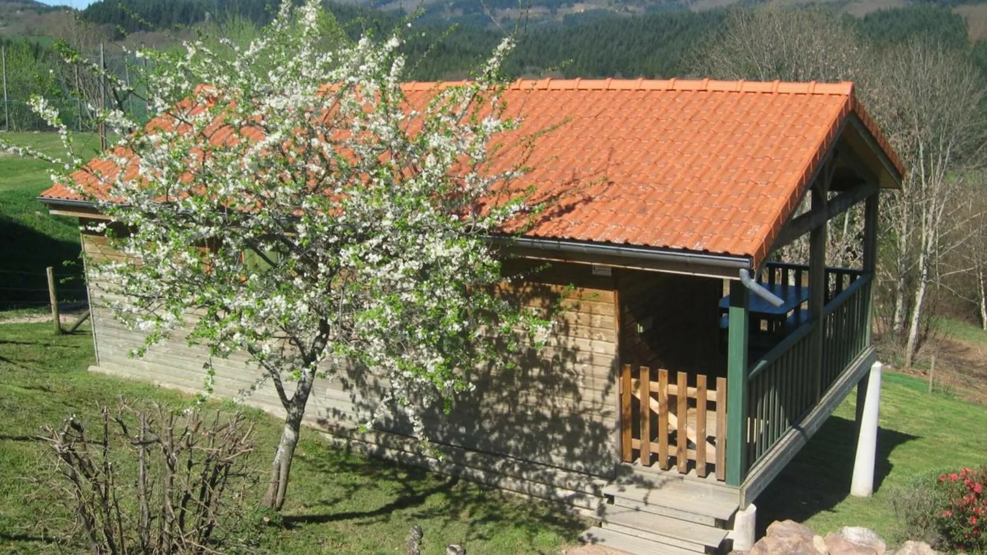 Charmant Chalet 35M², 2 Ch, Terrasse Privee, Activites Nature Aux Monts De La Madeleine, Animaux Ok - Fr-1-496-240 Saint-Rirand