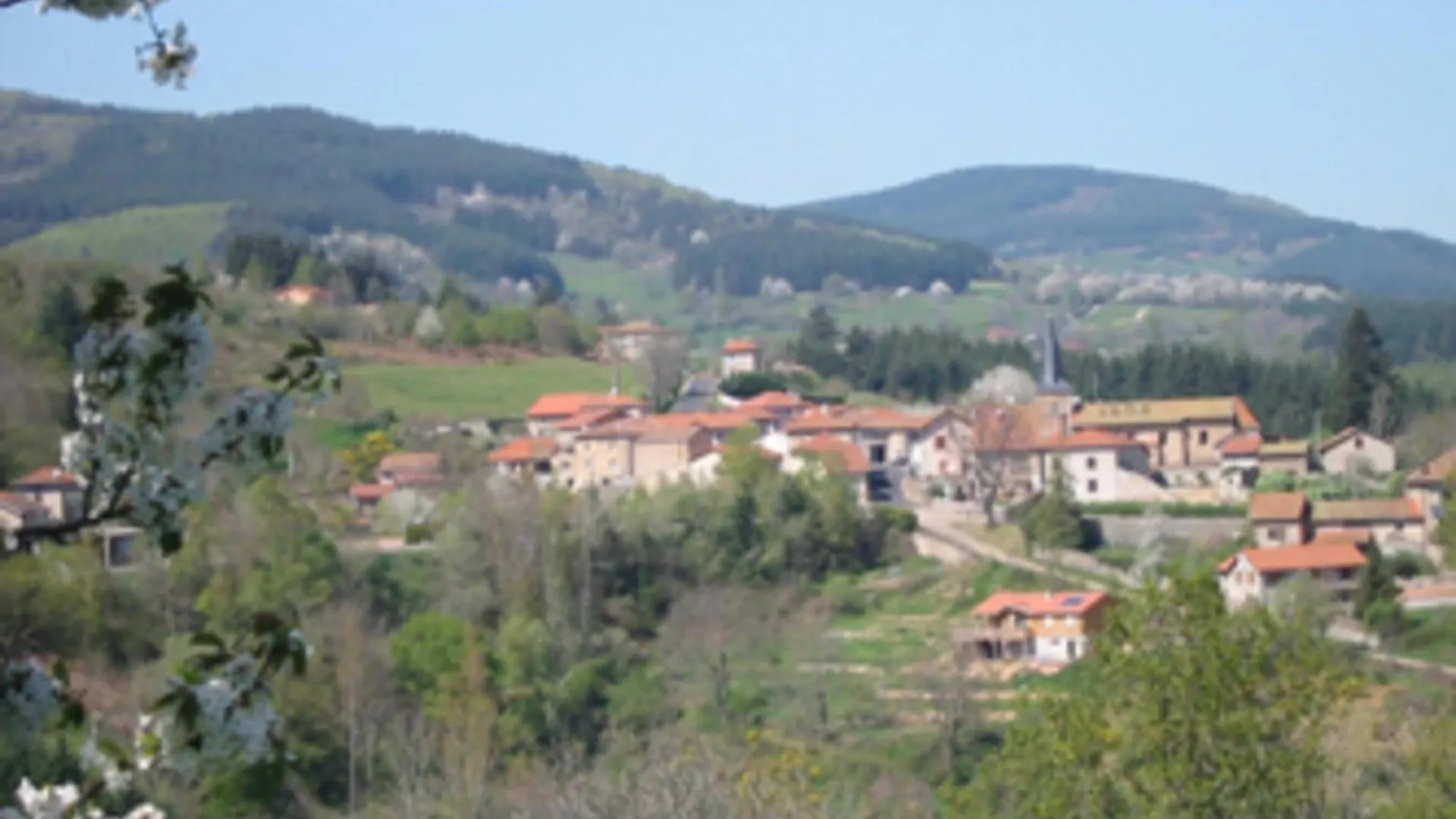 Charmant Chalet 35M², 2 Ch, Terrasse Privee, Activites Nature Aux Monts De La Madeleine, Animaux Ok - Fr-1-496-240 Saint-Rirand 0*,